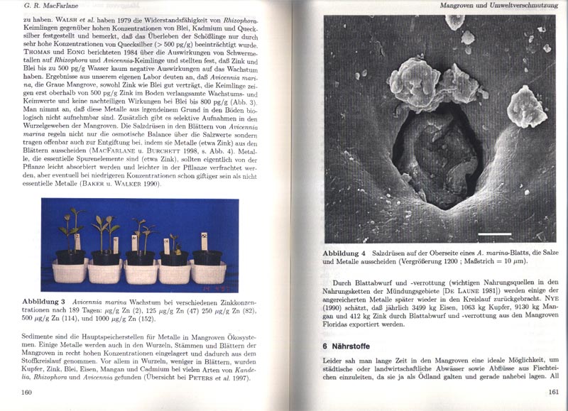 Mangroven - Lebensr�ume zwischen Land und Meer - aus dem Buch